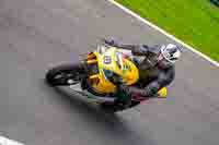 Yellow Bikes